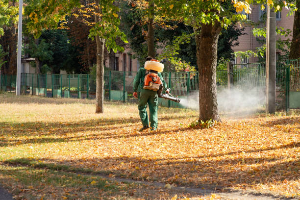 Wasp Removal Services in Athens, GA