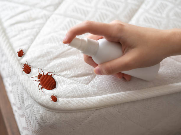 Best Bed Bug Extermination  in Athens, GA