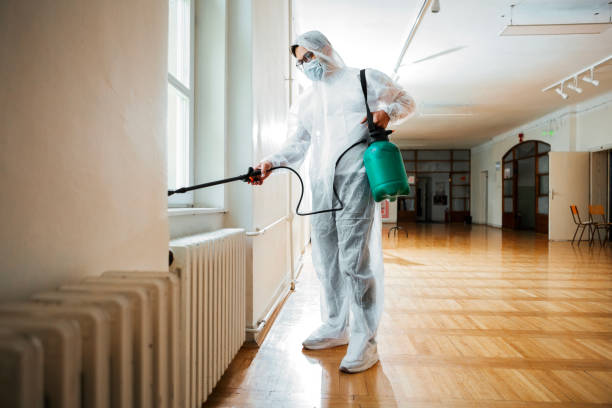 Flea Control Services in Athens, GA