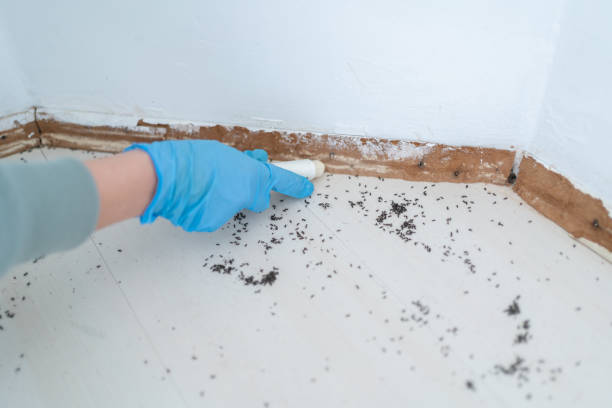  Athens, GA Pest Control Pros